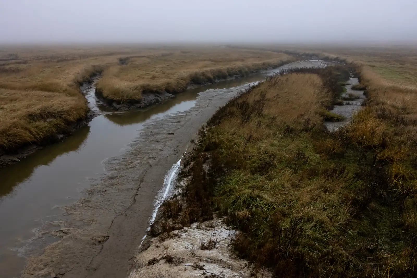 A muddy tidal creek winding through low marsh grass on a grey, misty morning