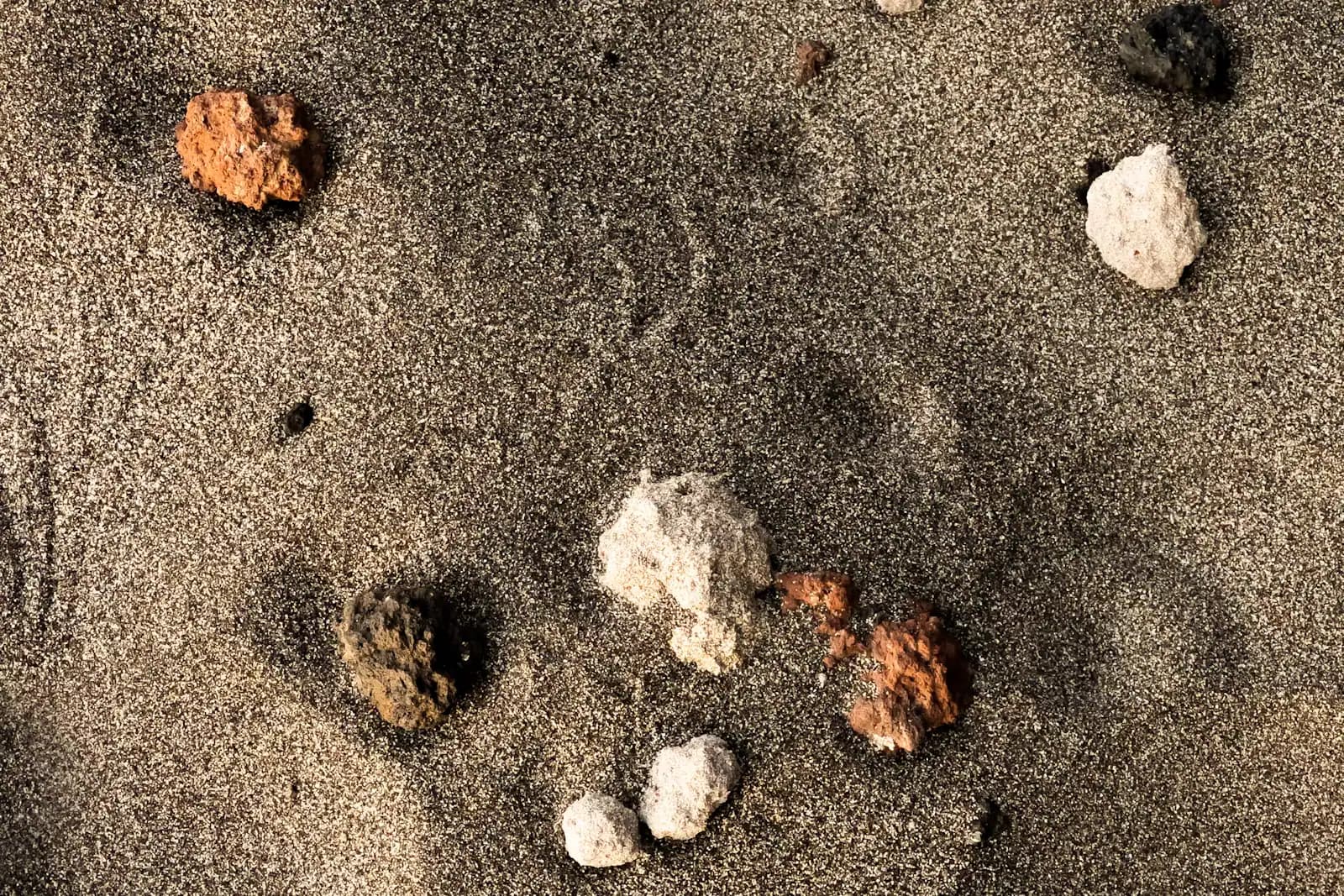 Small shells and broken fragments scattered across damp sand at the tide line