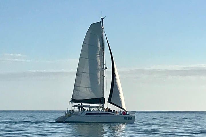Sailing Up!